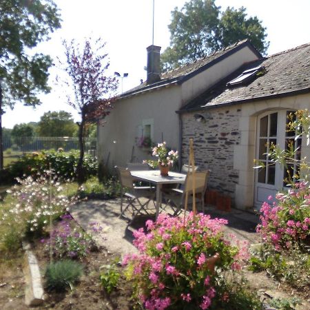 Gite De Bellerive Sainte-Gemme-sur-Loire Exterior photo